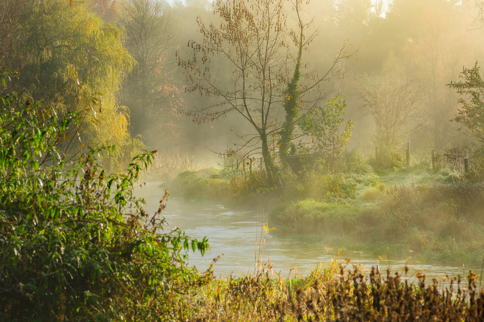 Autumn Fog on the Itchen by Adam Lack