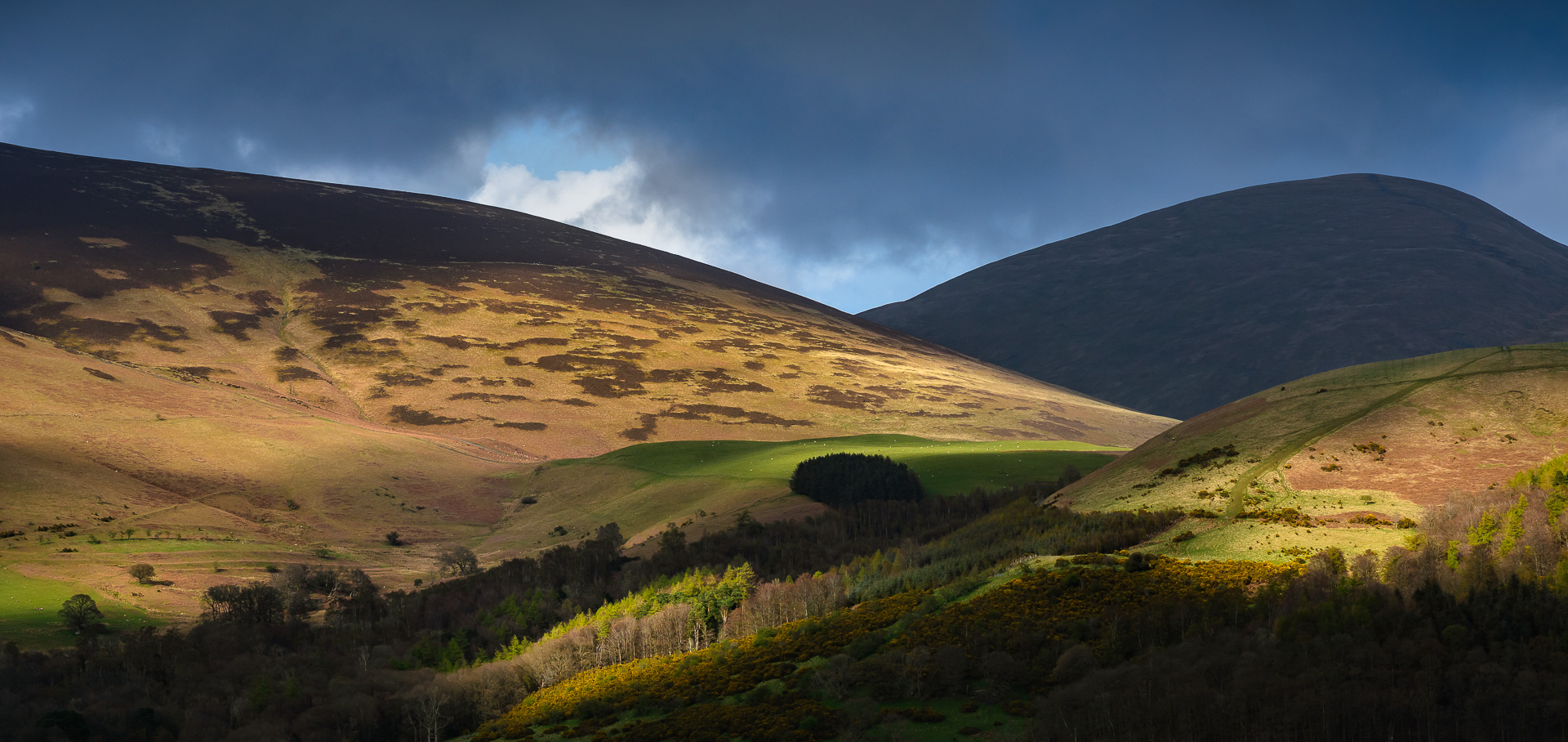 Evening Hills Spotlights by Adam Lack