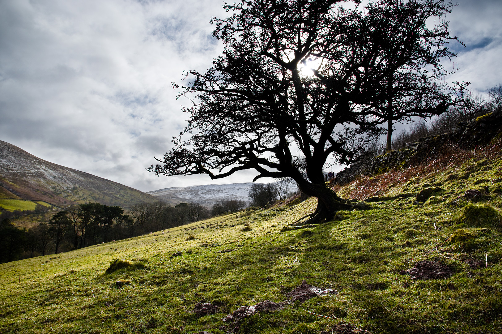 In the Valleys by Adam Lack