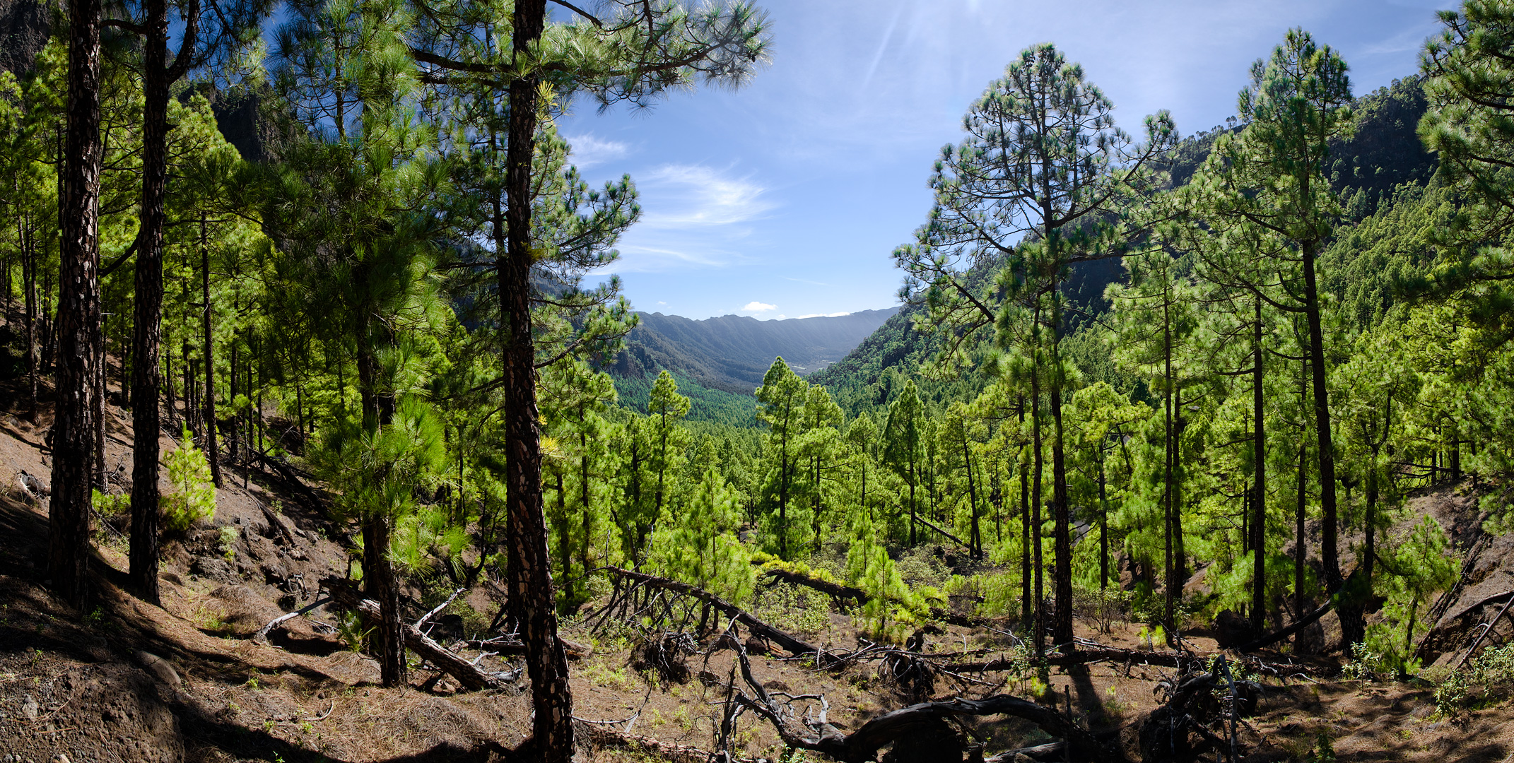 La Palma by Adam Lack