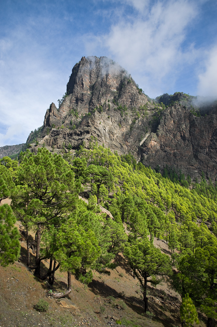 La Palma by Adam Lack