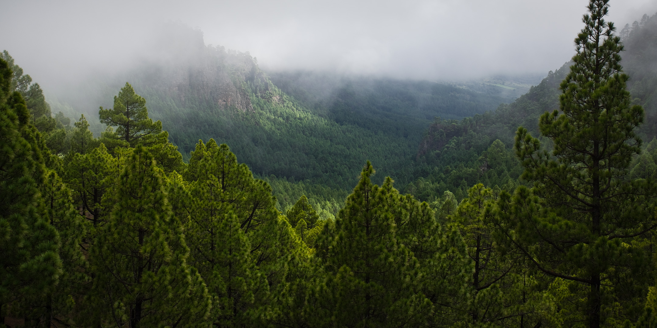 La Palma by Adam Lack