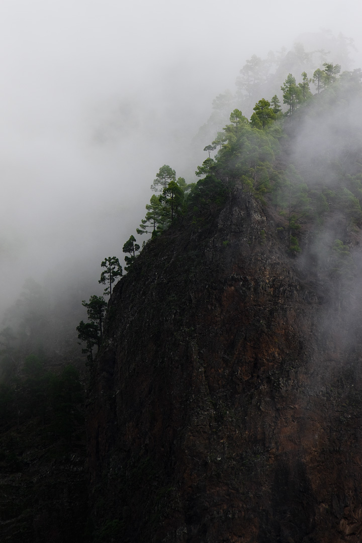La Palma by Adam Lack