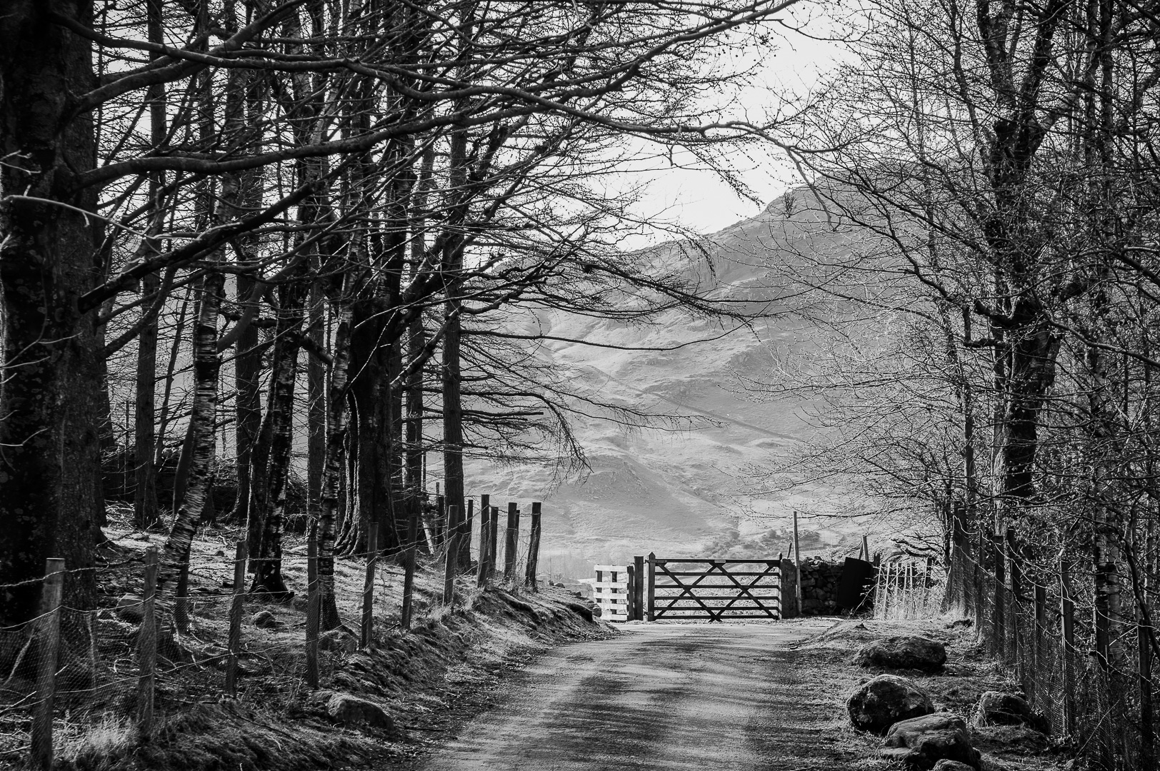 Lake District Gate by Adam Lack