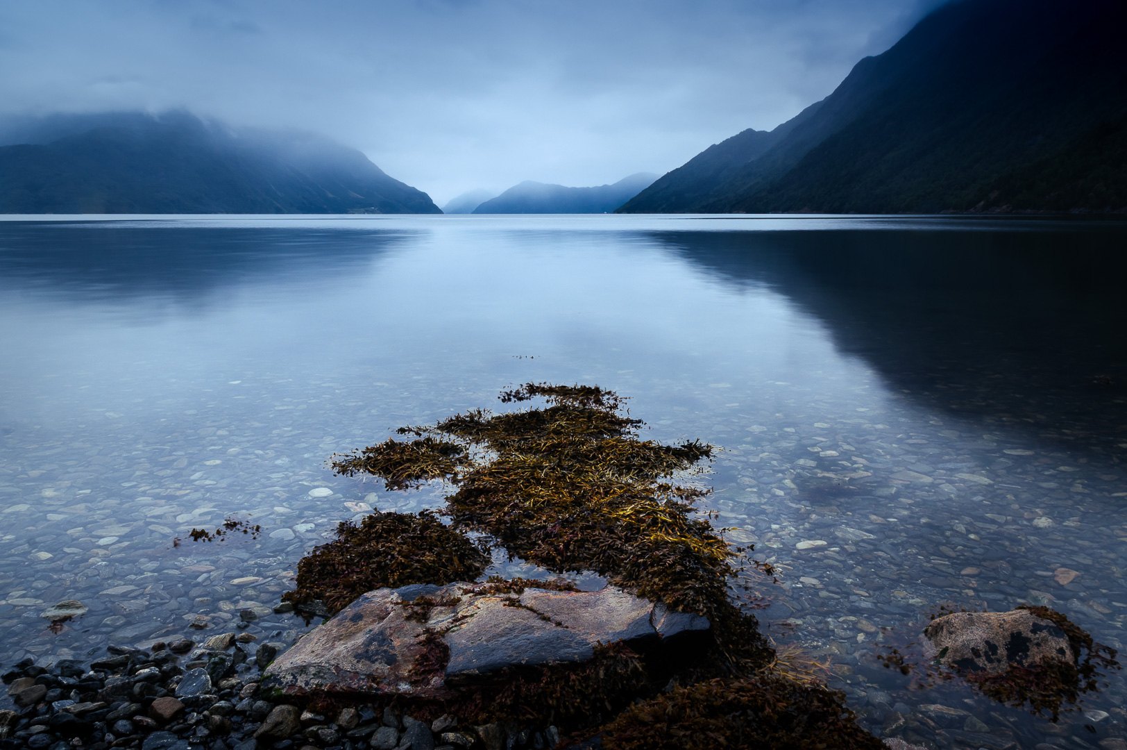 Lote Blues by Adam Lack
