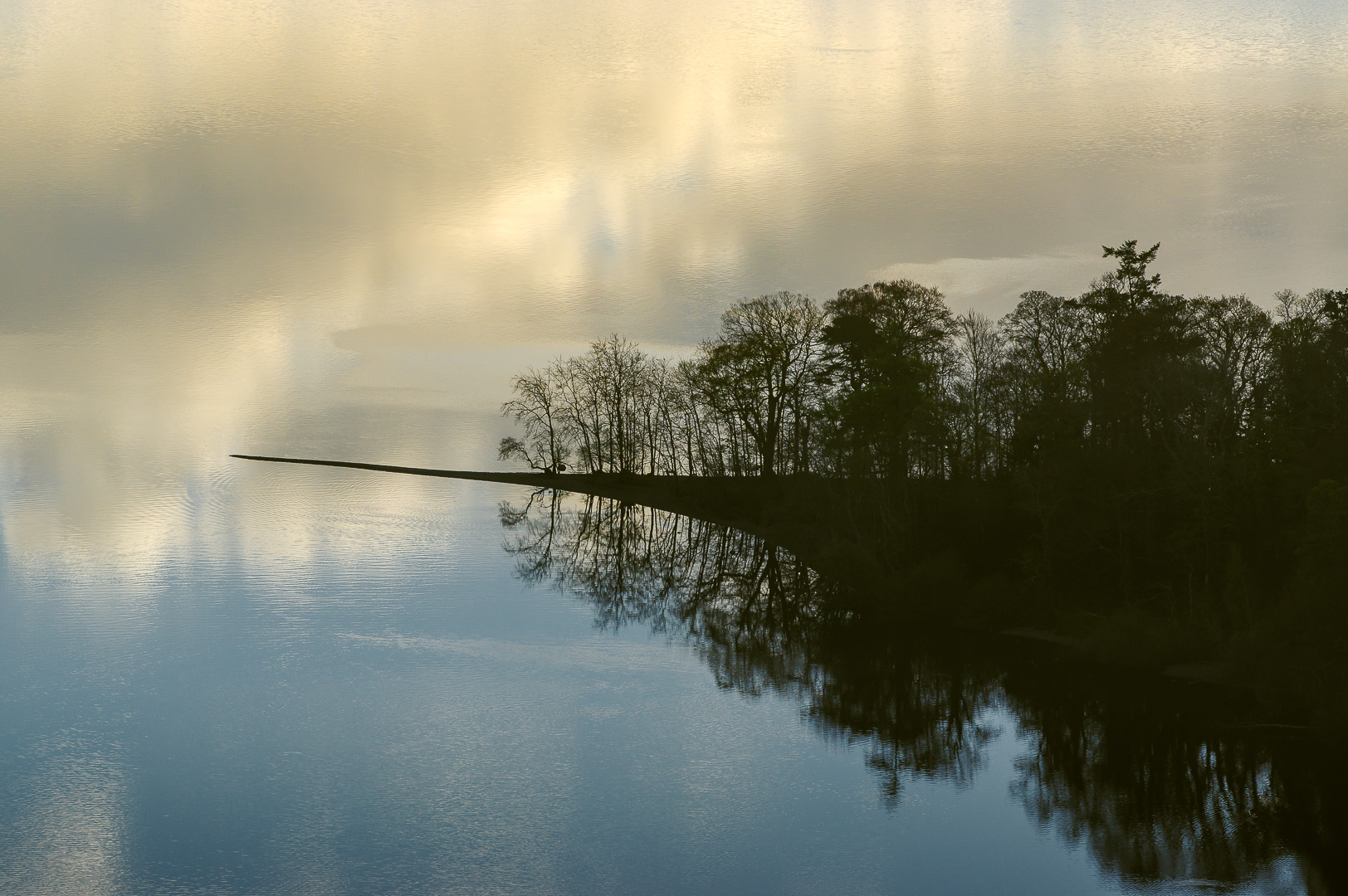 Needle in a lake by Adam Lack