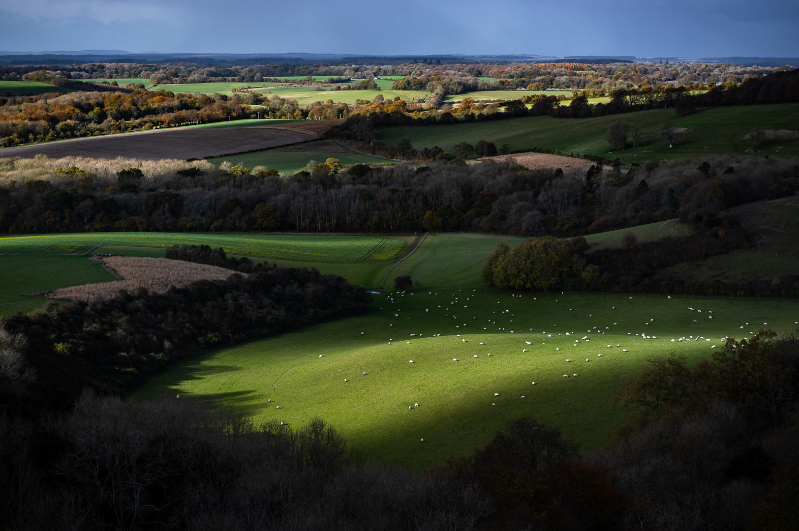 Old Winchester Hill Illuminations by Adam Lack