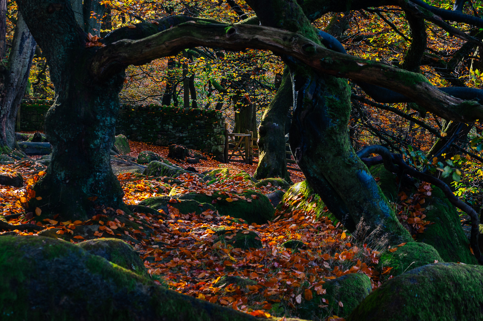 Padley Gorge Gate by Adam Lack
