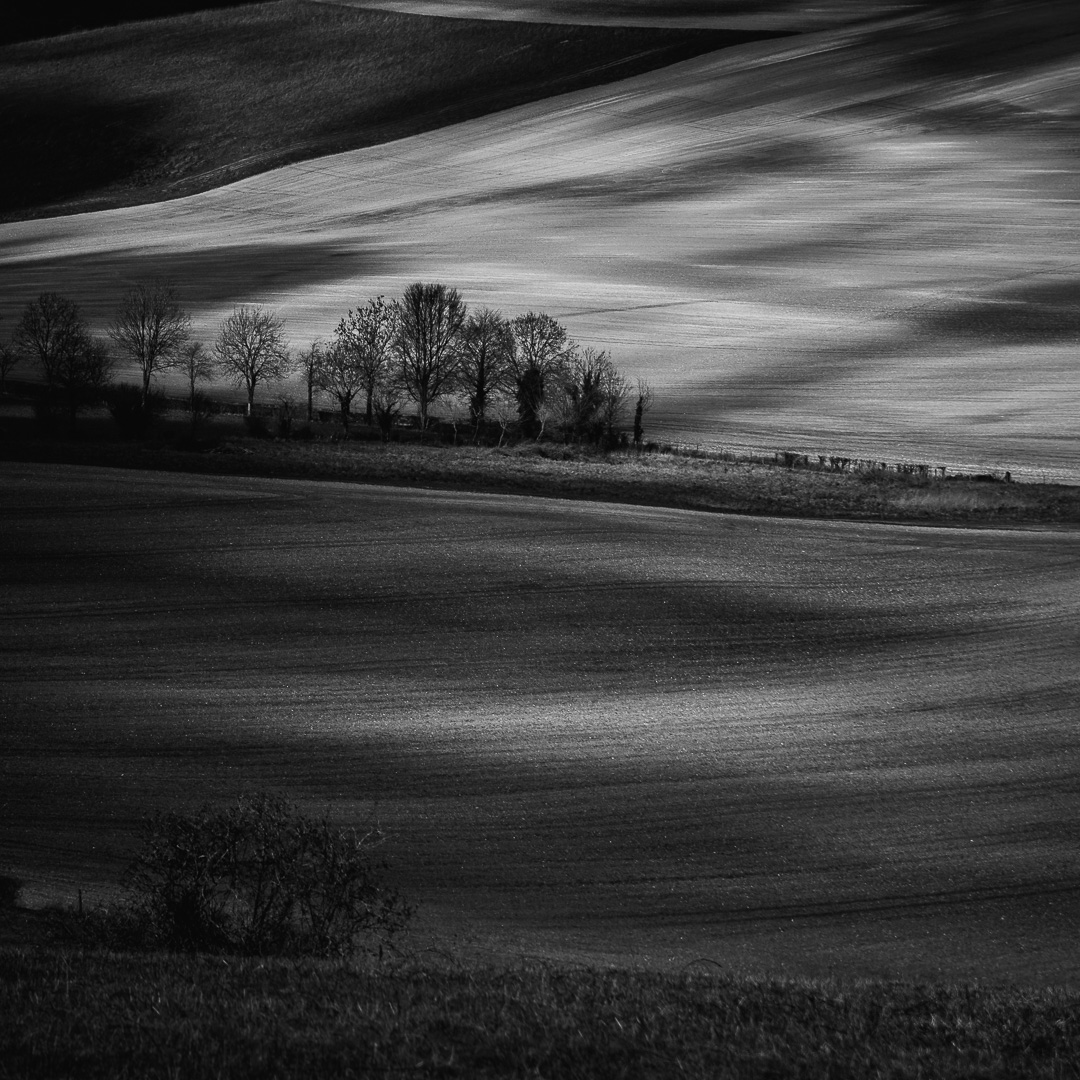 Paintbrush Light by Adam Lack