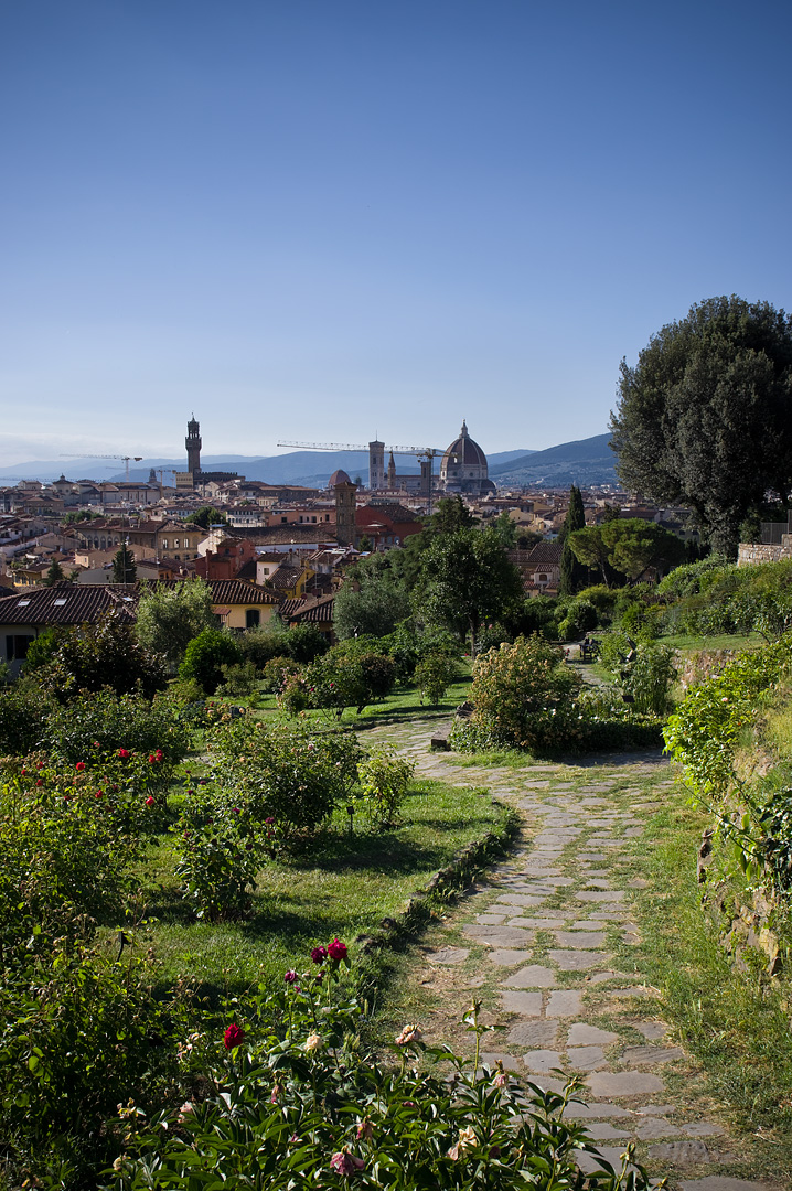Path to Florence by Adam Lack