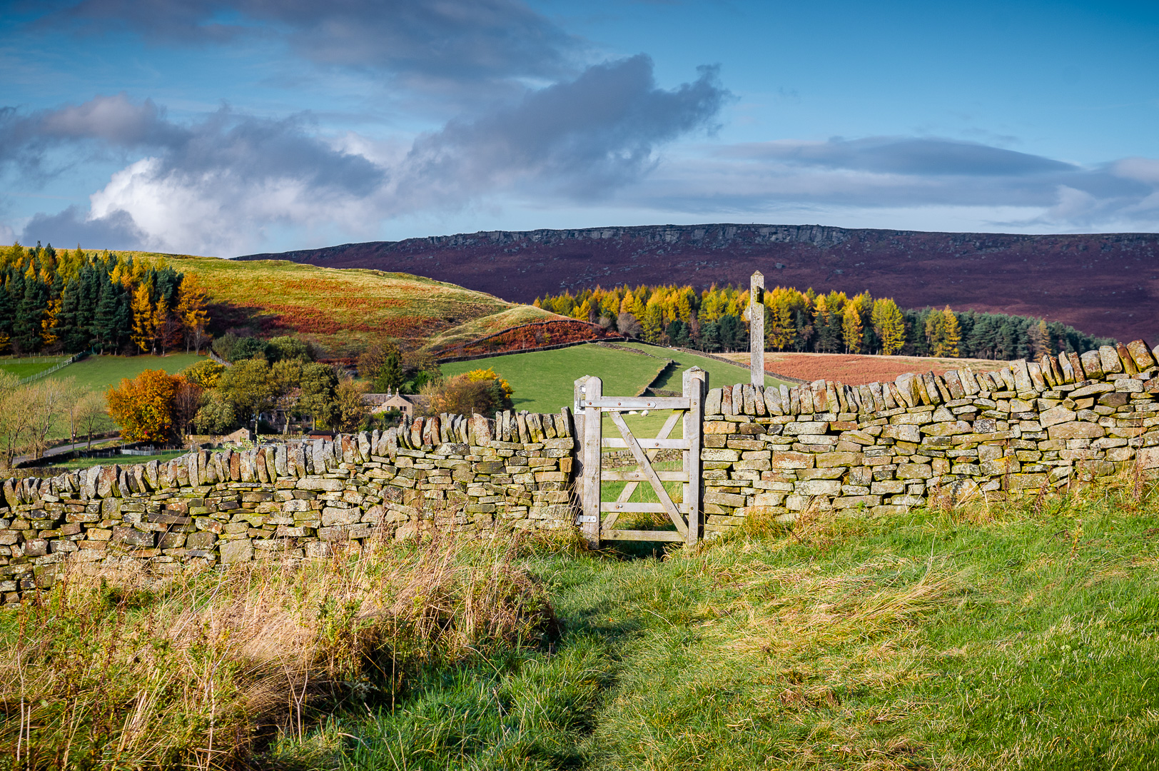 Peak District Gate by Adam Lack