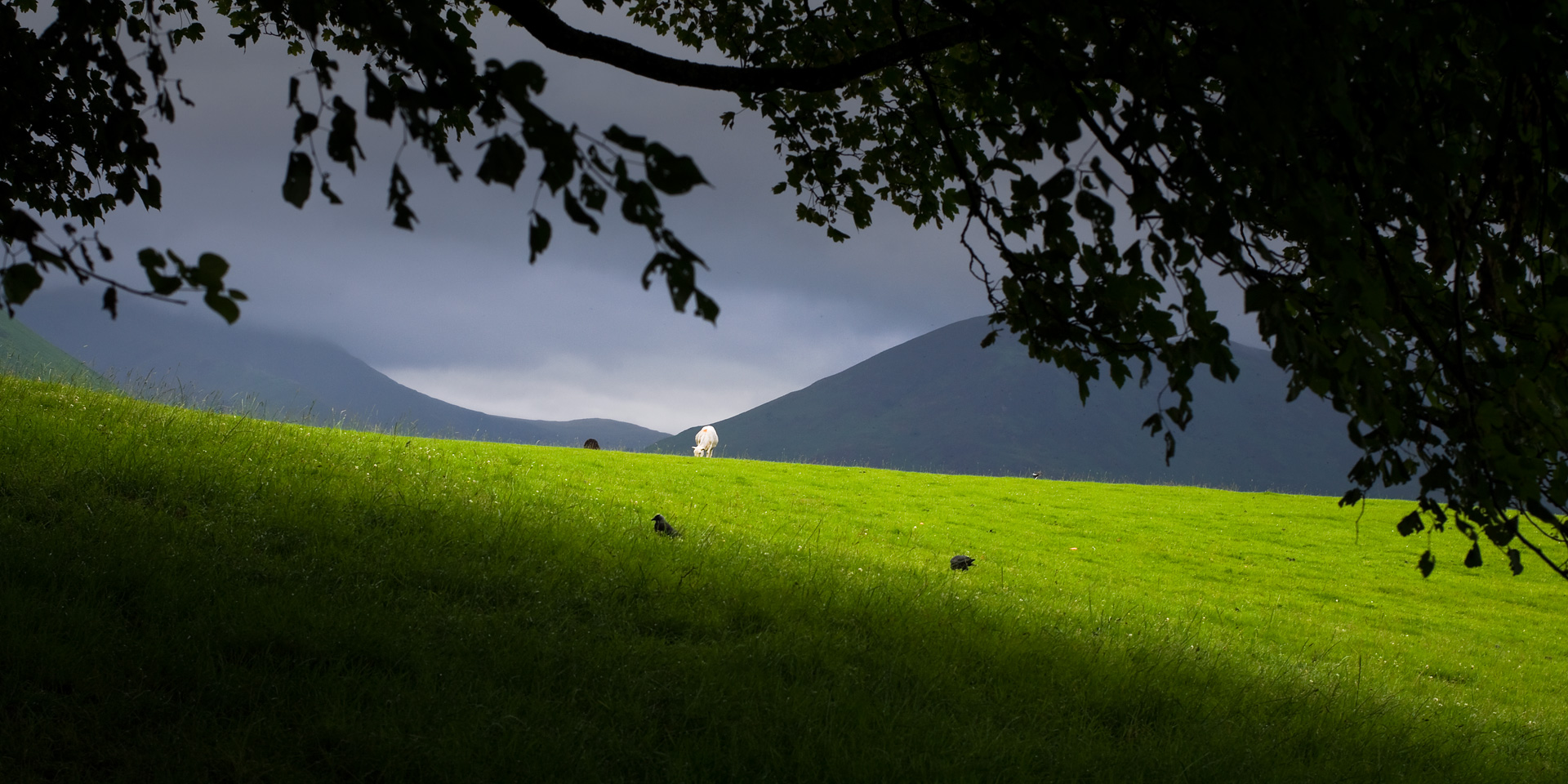 Savour the Light by Adam Lack