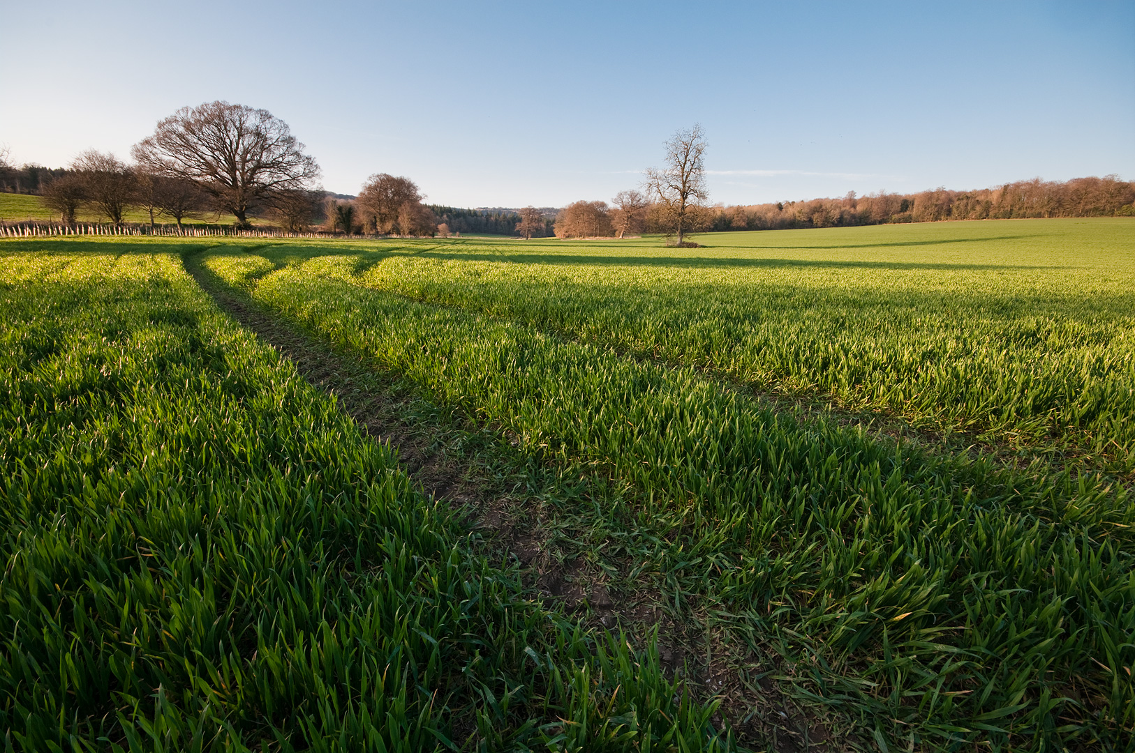 Summer Shadows by Adam Lack