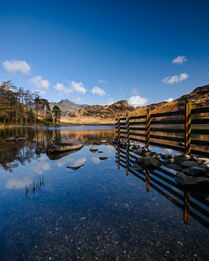 Blea Tarn Fence