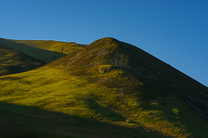 Dawn undulations