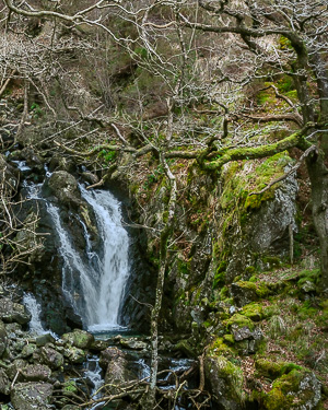 Idris Woodland Waterfall