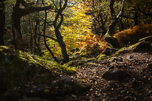 Illumination in the gorge