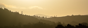 Lakeland Layers