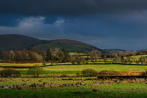 Lush Lakeland Light