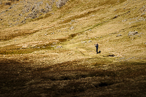 Nice day for a photo