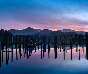 Pastels and Skeletons