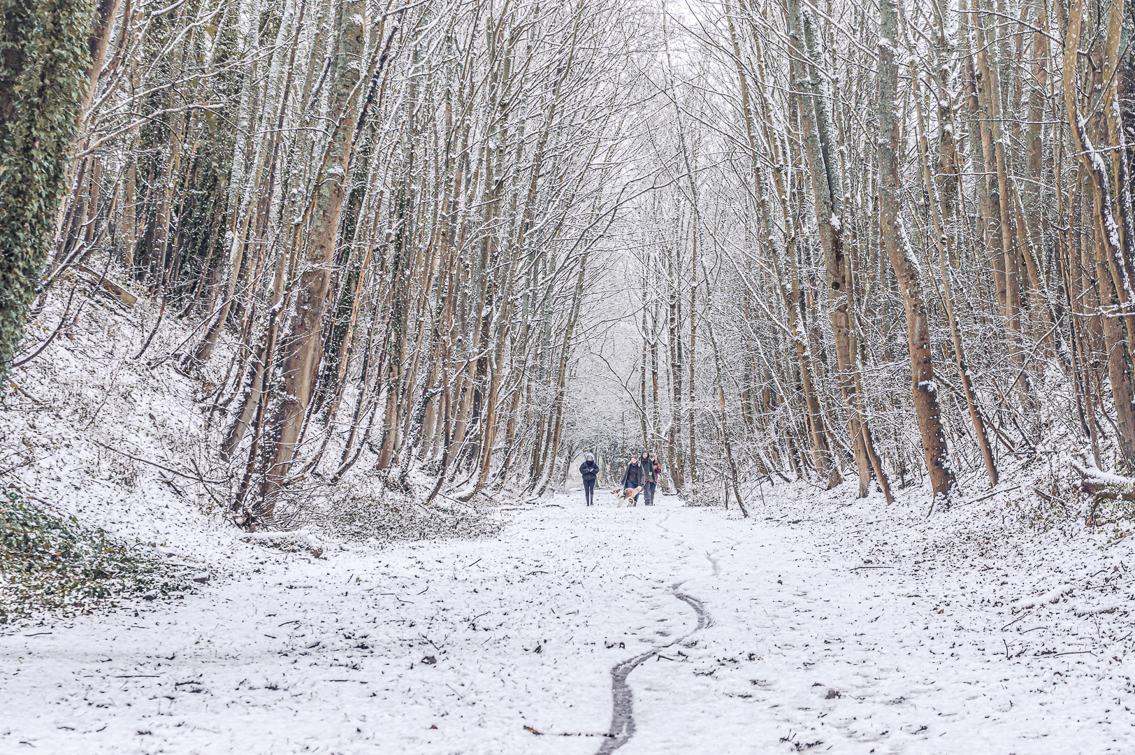 Winter Walkers by Adam Lack